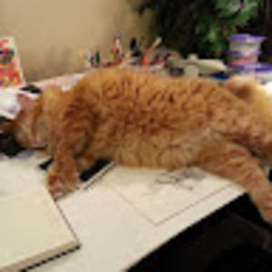 Meet your Posher, Patricia